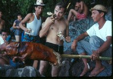 Philippine pig roast